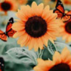 Meet your Posher, Caitlin